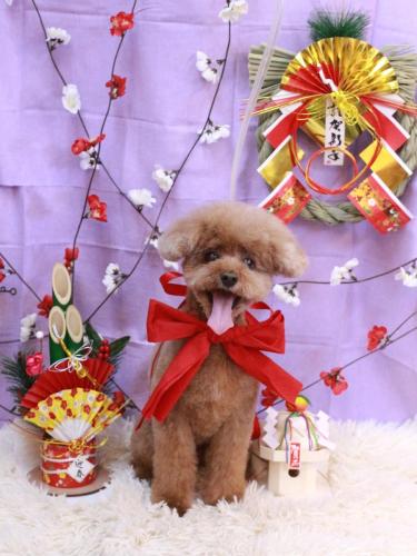 20230112マハロくん